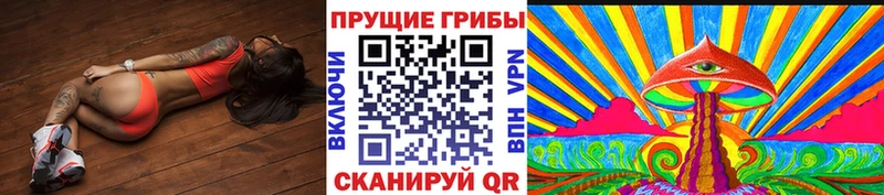 Галлюциногенные грибы мицелий где найти наркотики Власиха